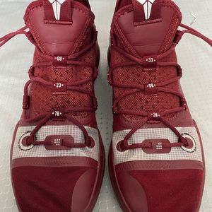 Nike Kobe Bryant Team AD Signature Shoe